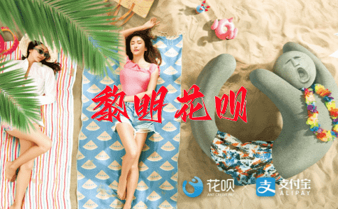一网打尽花呗